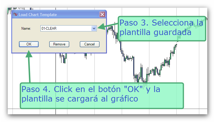 Cargar plantilla pasos 3 y 4